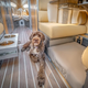 Image for article titled The Bowlus Road Chief Terra Firma Is A Beautiful Art Piece That Costs More Than Your House